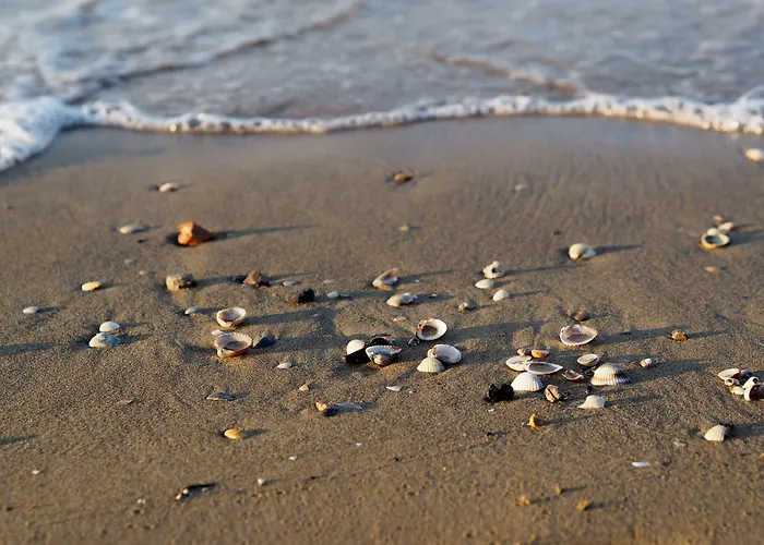 Delightful Two-room Flat Next To The